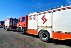 Zderzył się z lisem. Mężczyzna nie żyje