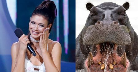 Klaudia Halejcio eksponuje ciążowy brzuszek w ODWAŻNYM kostiumie kąpielowym: "Wyglądam jak HIPOPOTAM" (FOTO)