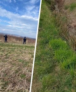 Nie tak miał wyglądać świąteczny spacer. Groźne odkrycie w Małopolsce