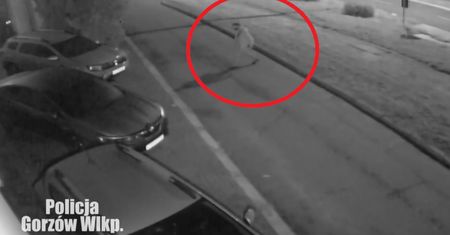 Podpalał auta i prowadził relację w internecie. Nagranie z monitoringu i akcji lubuskiej policji