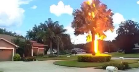 Zobacz, jak wygląda prawdziwy grom z jasnego nieba. Zaskakujące wideo z USA