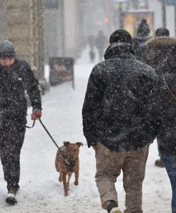 Pogoda na luty. Nadciąga atak zimy? Mamy najnowszą prognozę