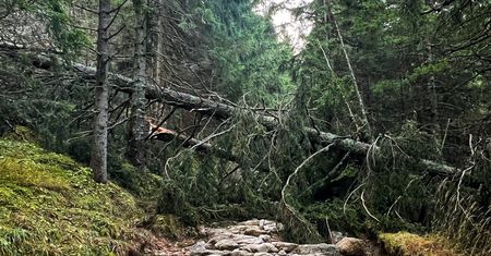 Wichury zrobiły swoje. Spustoszenie na szlakach w Tatrach