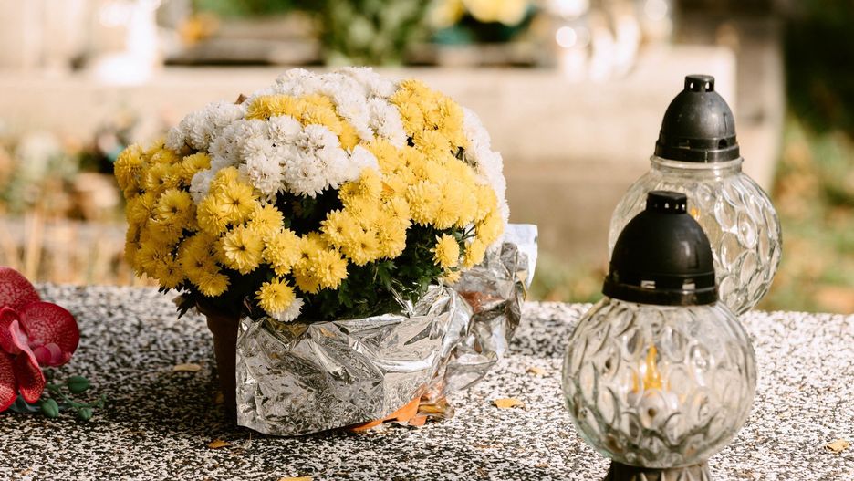 Chryzantemy to często wybierane kwiaty na Wszystkich Świętych. Są one wytrzymałe i pięknie się prezentują. Warto jednak wiedzieć, jak o nie dbać, aby ich pozostały piękne na dłużej