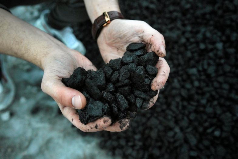 Nowe limity sprzedaży węgla w sklepie PGG. Do pięciu ton na klienta