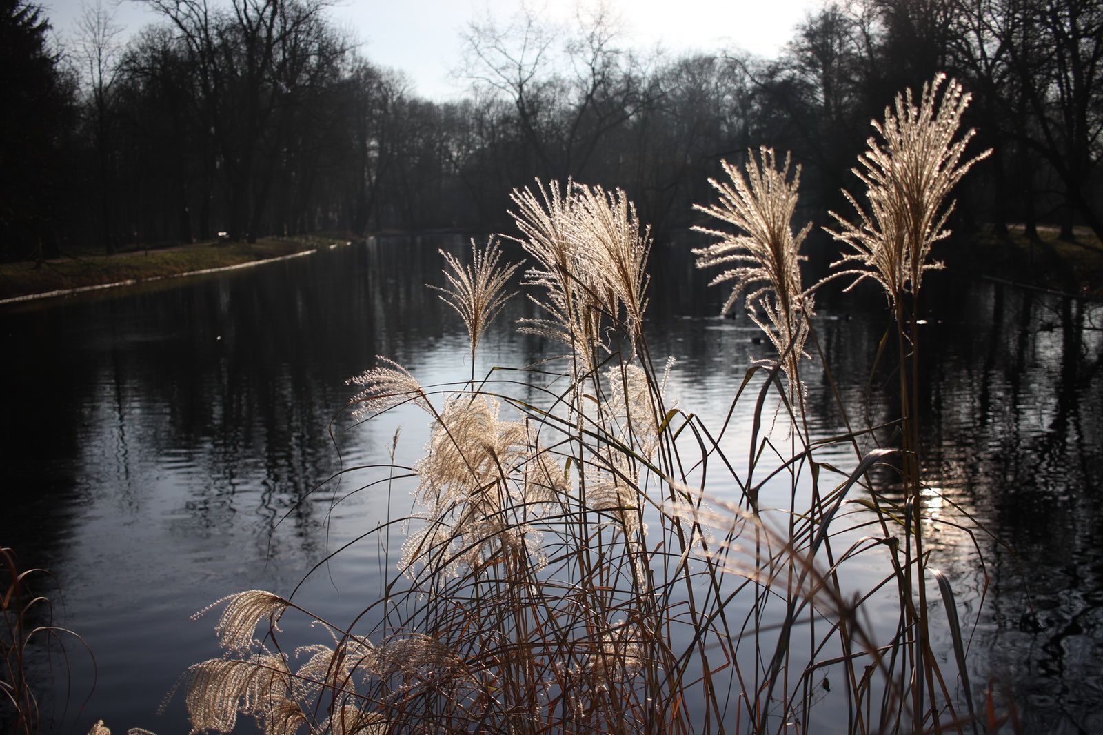 TEST: Canon EOS 200D – pomysł na maleństwo 19
