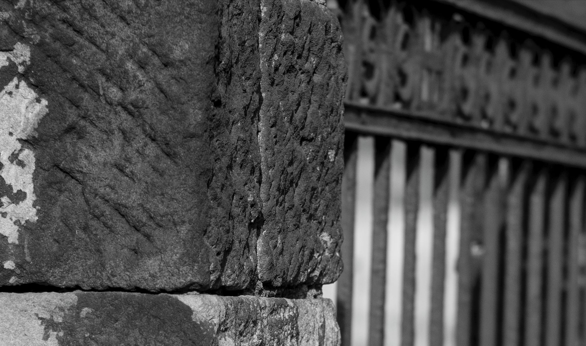 Niewielki może bardzo dużo! Voigtländer Nokton 50 mm f/1,5 45