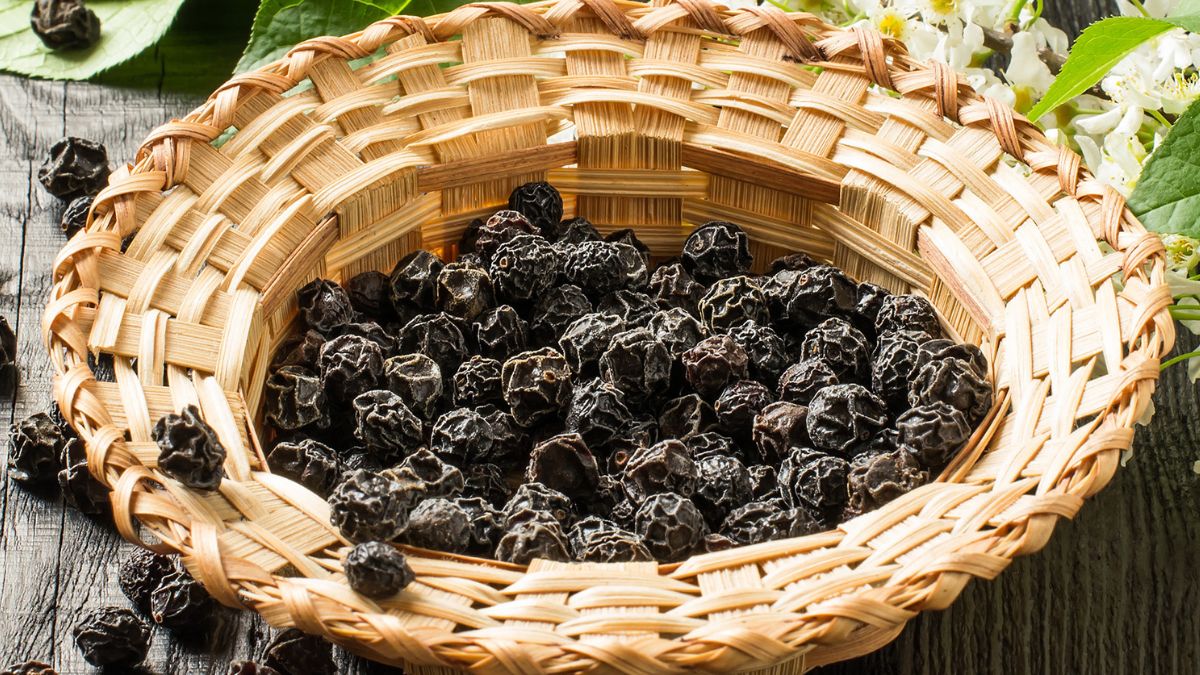 Czeremcha - Pyszności