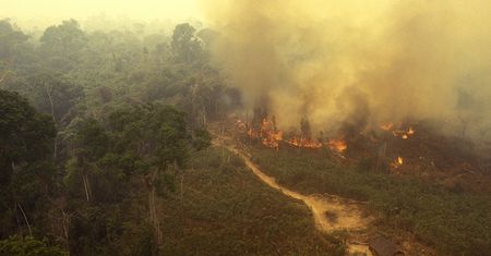 Amazońskie lasy deszczowe emitują teraz więcej CO2 niż go pochłaniają