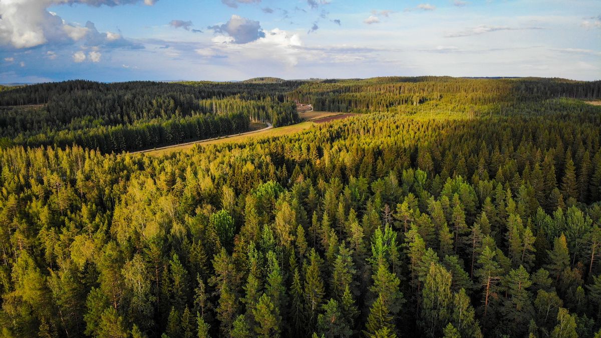 Finland nature forest wilderness road arial view
Finland nature forest wilderness road arial view
alexsl