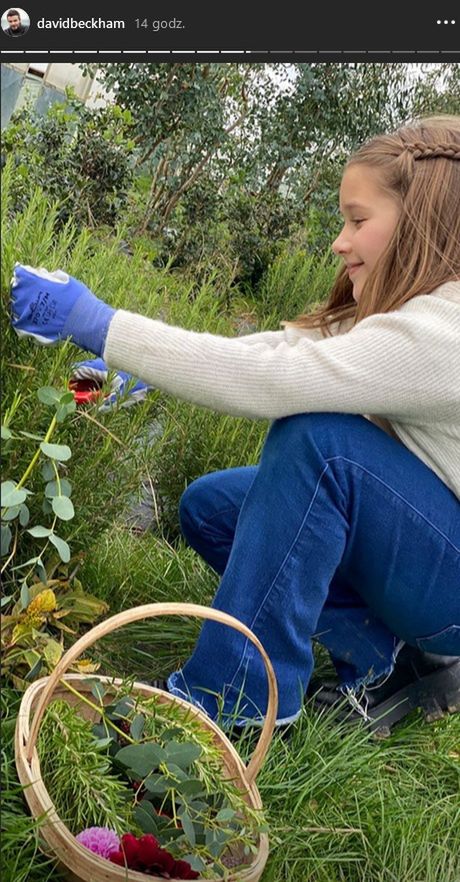 David Beckham z córką Harper