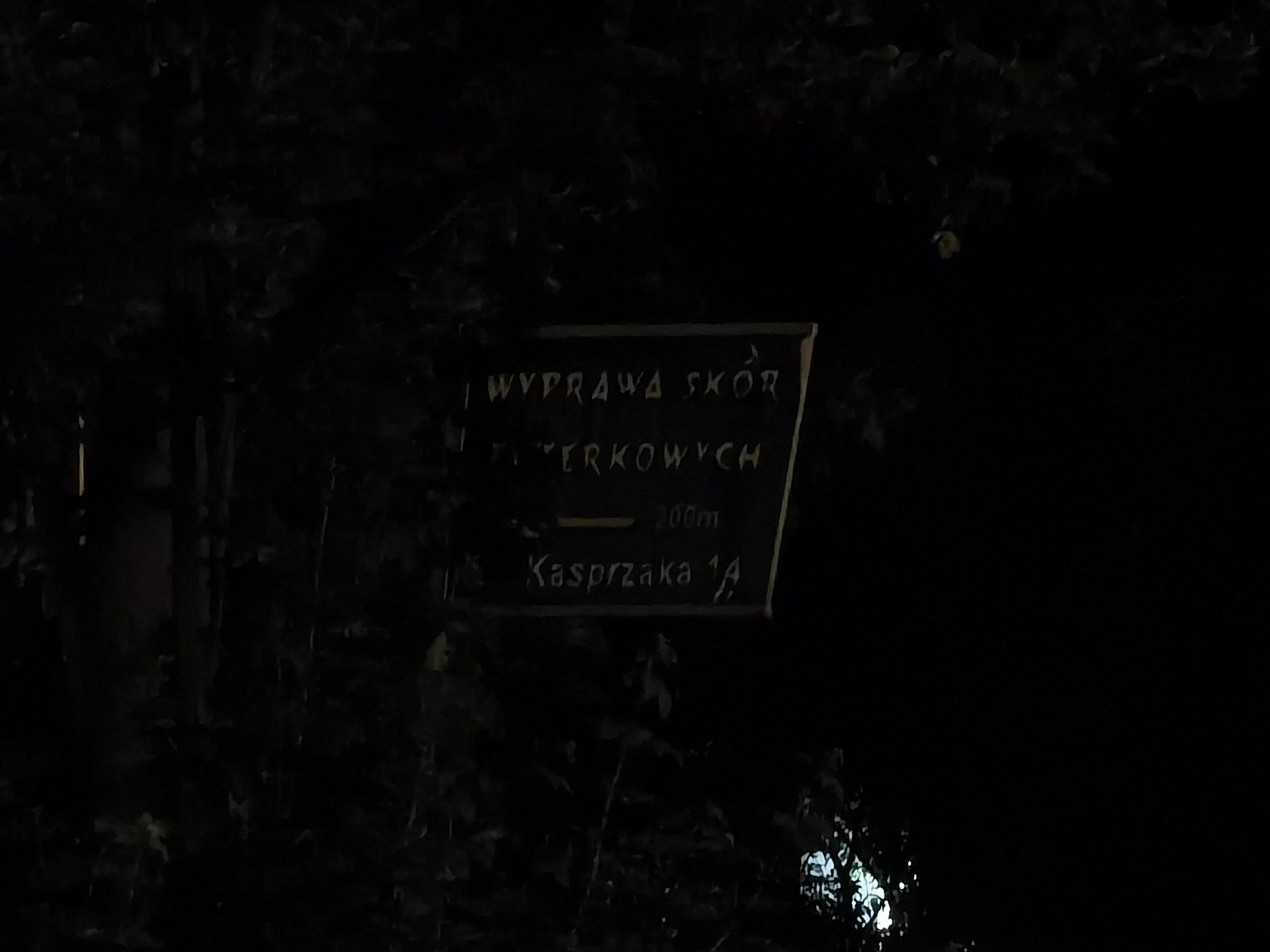 Taki zoom to ja rozumiem. Huawei P40 Pro+: test aparatu 34