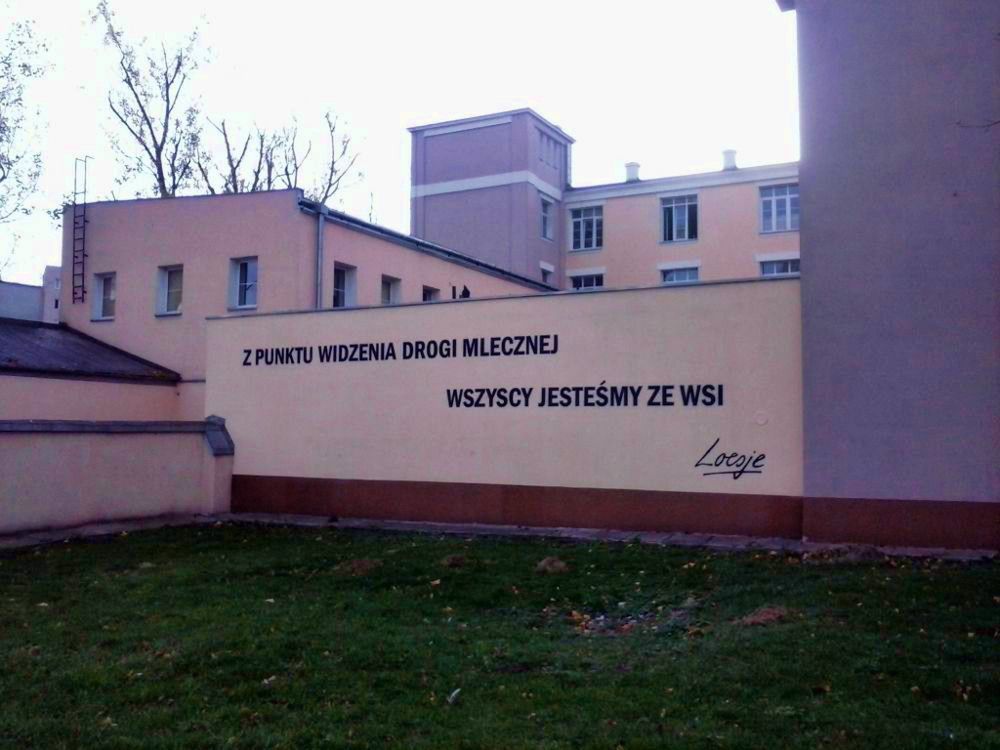 Nowe murale Loesje!