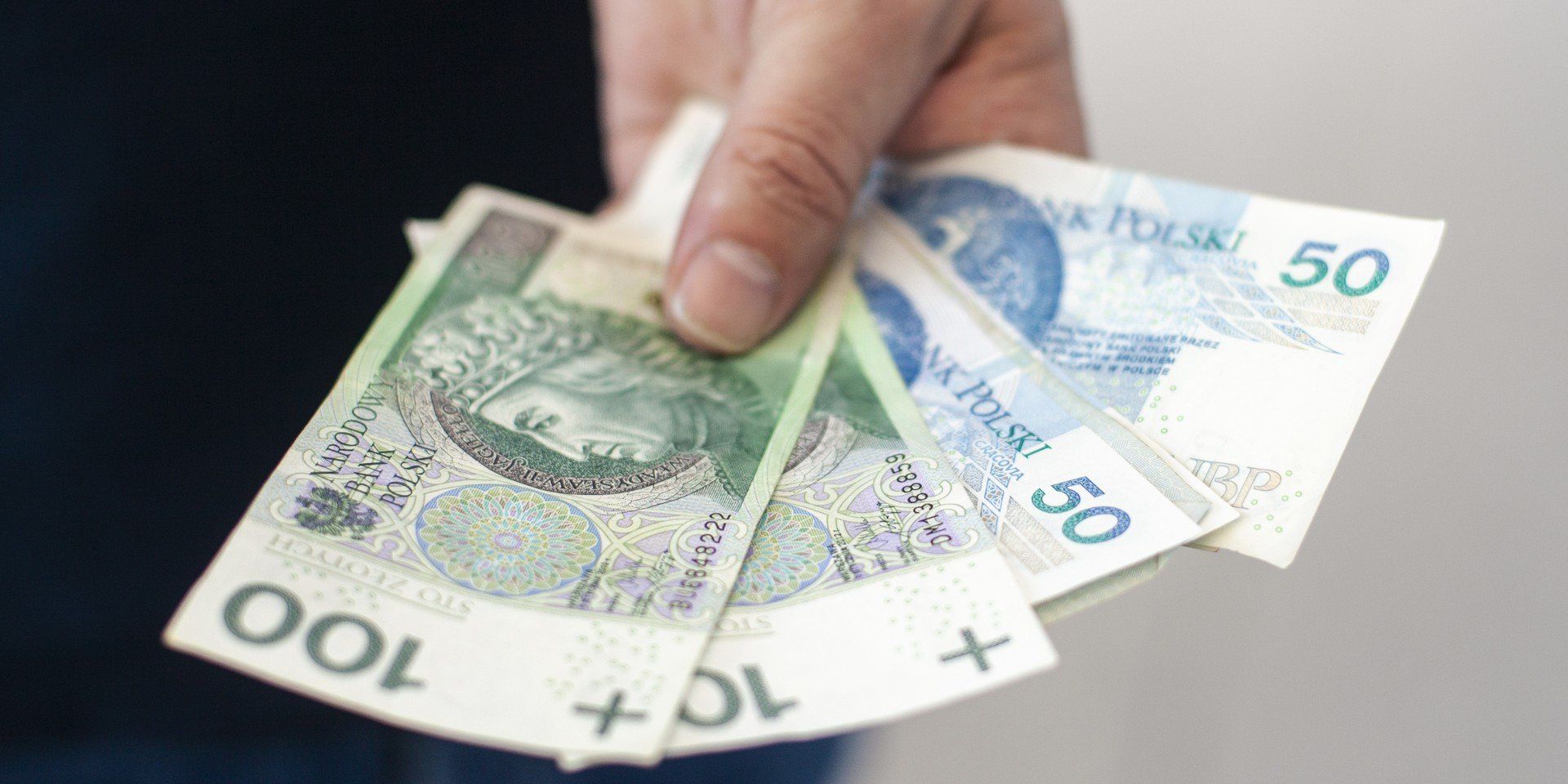 Close-up of hand showing Polish banknotes