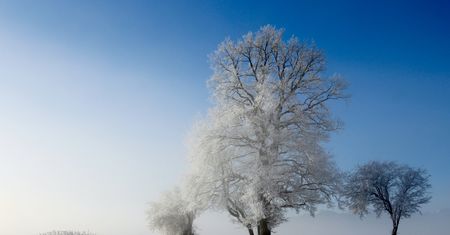 Pierwszy dzień zimy. Kiedy wypada początek astronomicznej, a kiedy kalendarzowej pory roku?