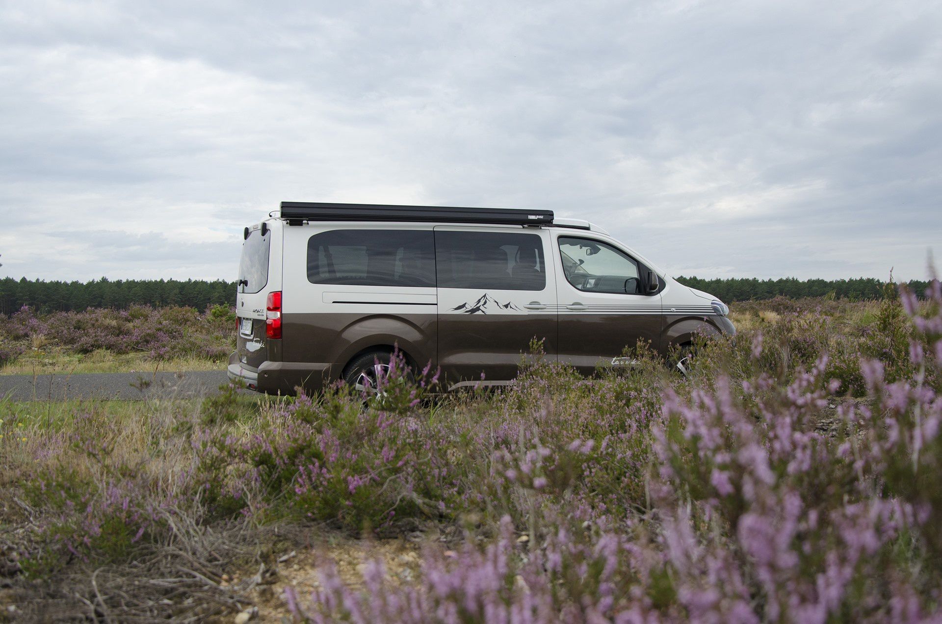 Toyota Proace Tanuki