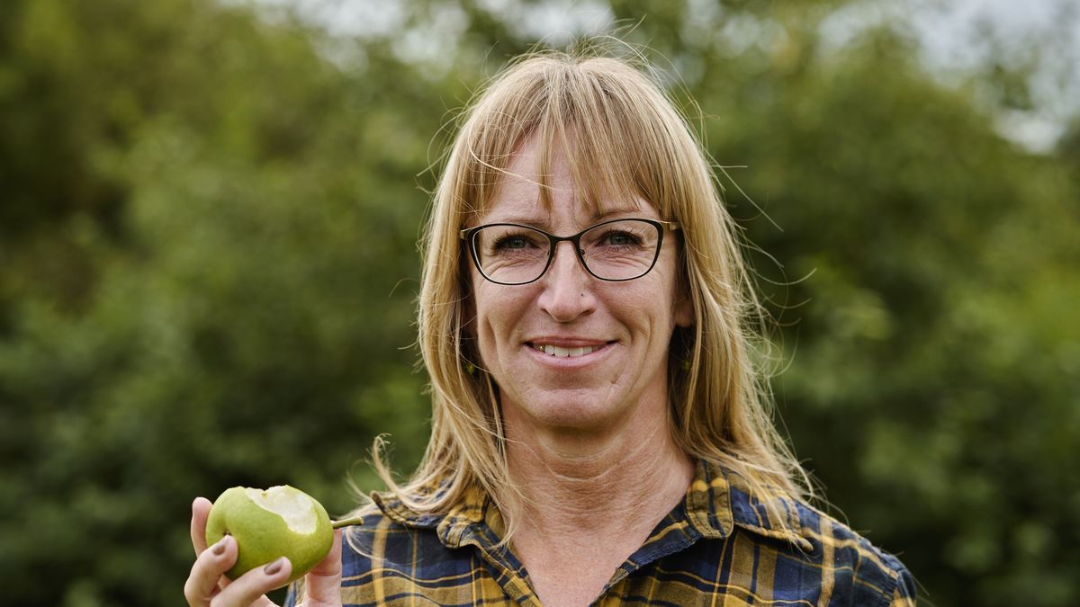 Headshot of woman having taken a bite of a fruit
Picking pears in plantation checking the taste. Close-up portrait
Westersoe