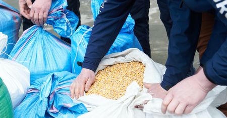 "Zboże techniczne" z Ukrainy. "Nie ma takiego terminu. Ono stało tygodniami na torach. Tam się różne rzeczy działy"