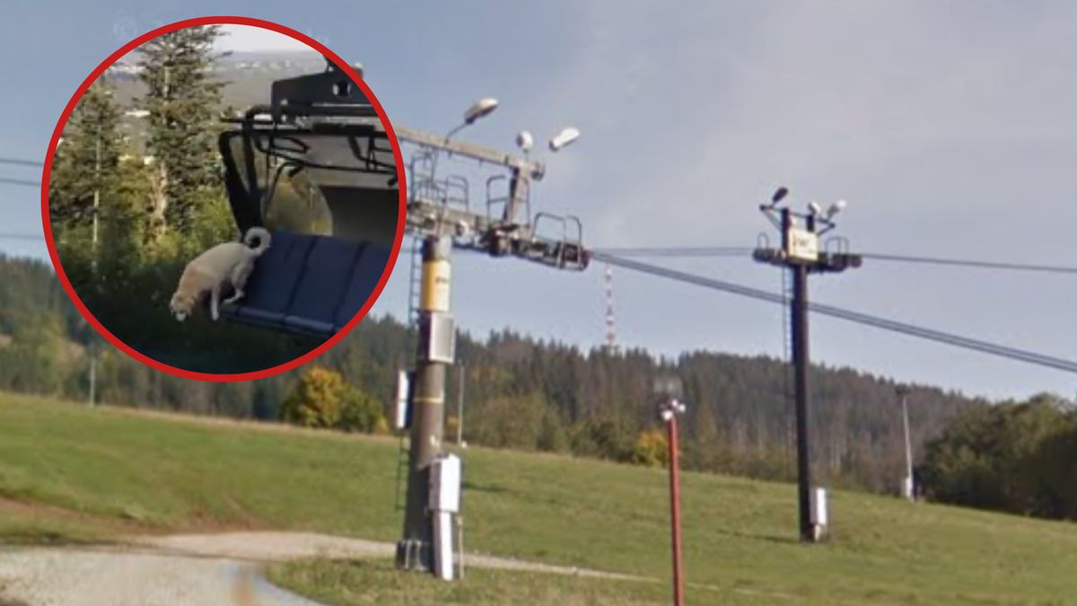 Minęło 9 dni od dramatycznych wydarzeń na Polanie Szymoszkowej. Nikt nie usłyszał zarzutów