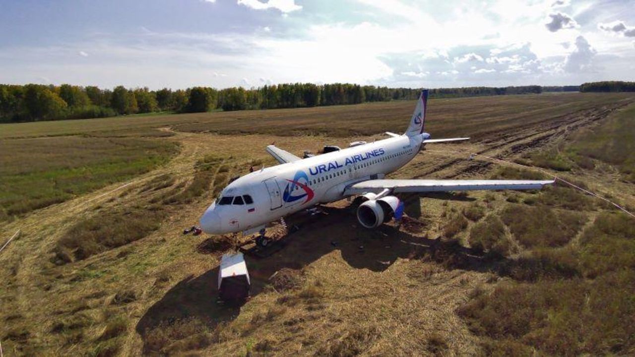 Airbus A320 na polu pszenicy.