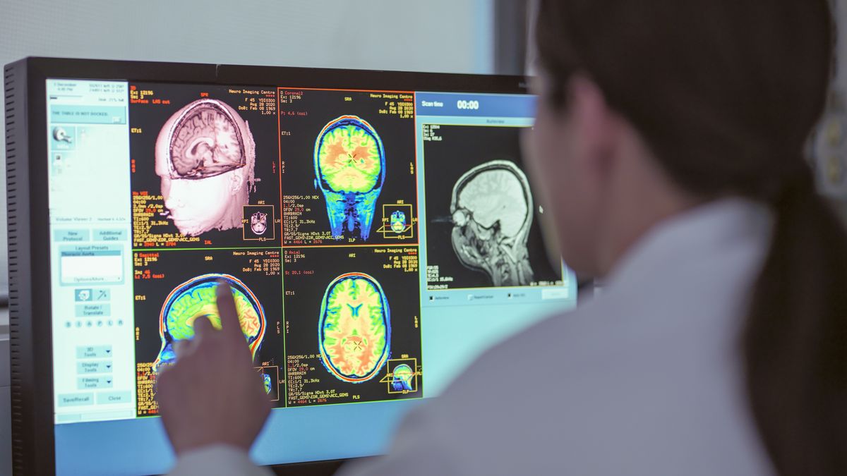 Wieloletni przedsiębiorcy posiadają większą elastyczność poznawczą, umożliwiającą im skuteczne przełączanie się między eksploracją a eksploatacją - wynika z badań. Zdjęcie ma charakter ilustracyjny