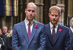 298 dni rozłąki. William i Harry spotkali się w ukryciu