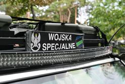 Polskie wojska w Ukrainie? Wynik sondażu mówi wszystko