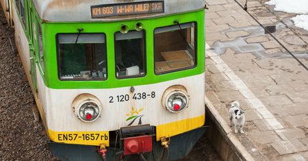 Chciał pomóc osobie na wózku. 17-latek wpadł pod pociąg