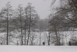 Nie minął tydzień. Kolejne zwłoki dziecka berlińskim w parku