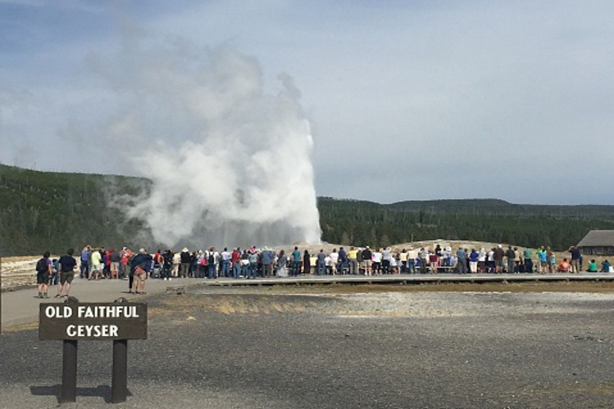 Park Narodowy Yellowstone tymczasowo pozostaje zamknięty dla turystów