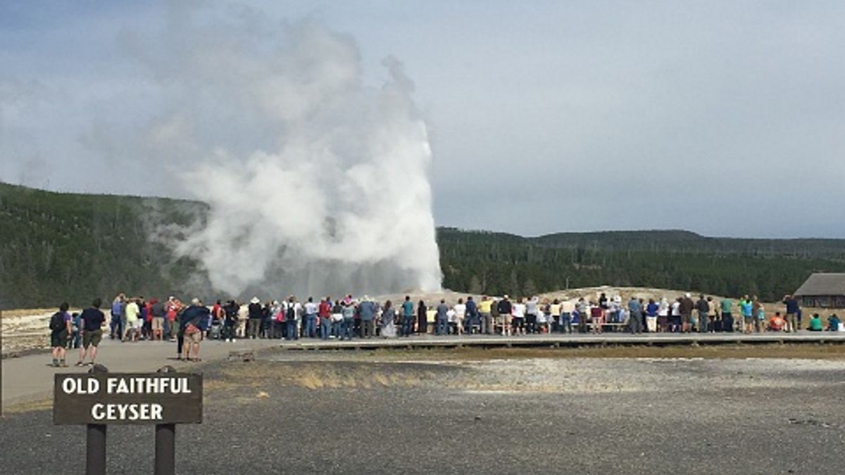 Park Narodowy Yellowstone tymczasowo pozostaje zamknięty dla turystów