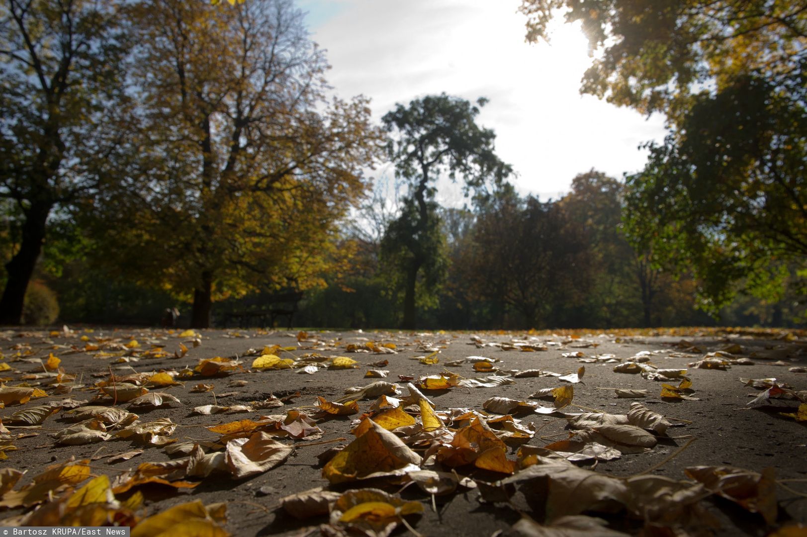 Pogoda. Warszawa. Poniedziałek 28 września. Słońce i przejściowe zachmurzenie