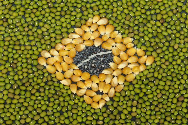 Czym różnią się zalecenia żywieniowe w Polsce i w Brazylii?