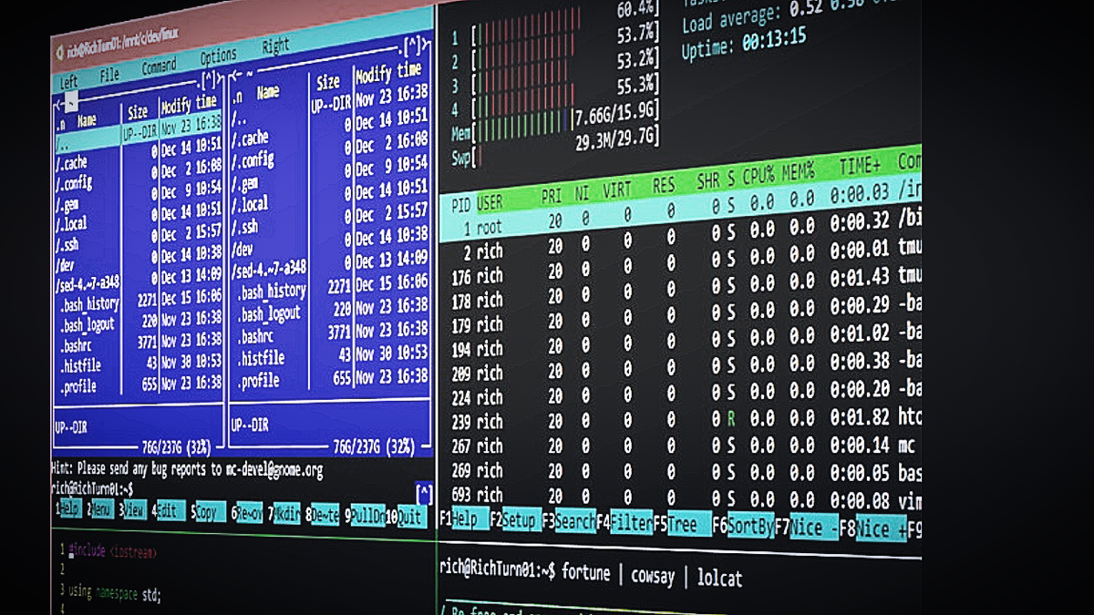 Wkrótce Windows 10 będzie jeszcze przyjaźniejszy dla Linuxa, fot. Linux.com