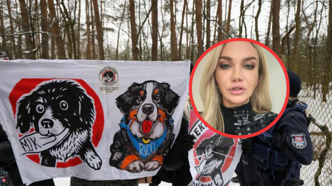 Prawniczka zabrała głos w sprawie schroniska "Happy Dog"