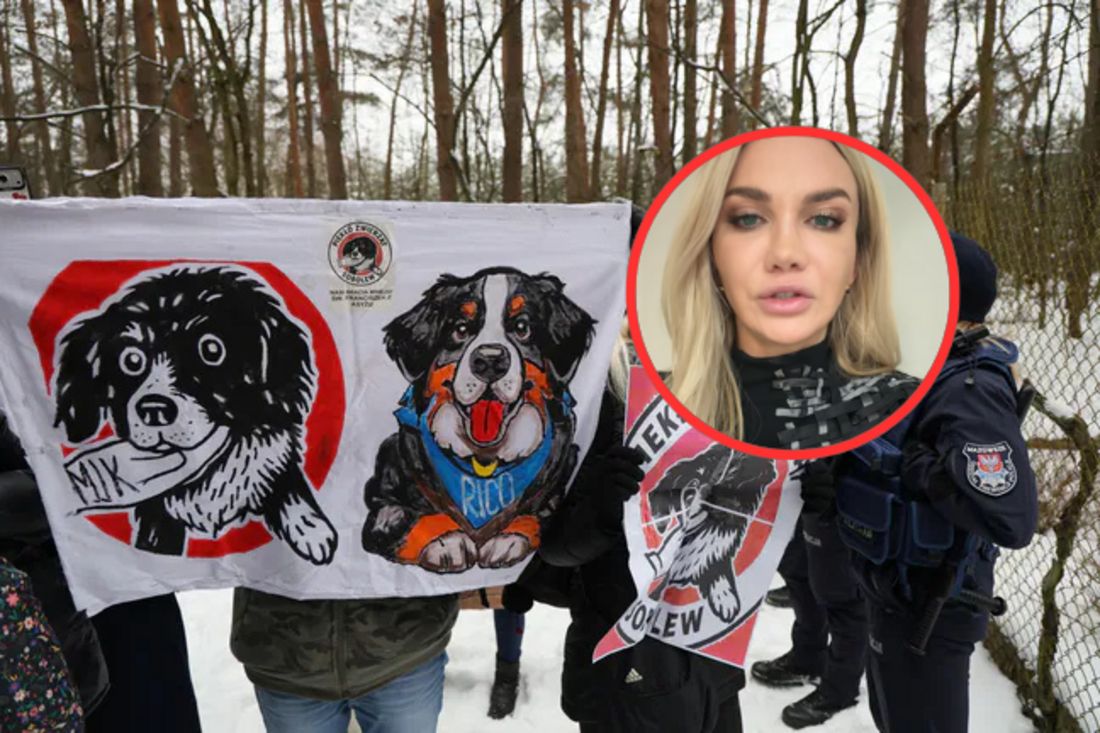 Prawniczka zabrała głos w sprawie schroniska "Happy Dog" w Sobolewie