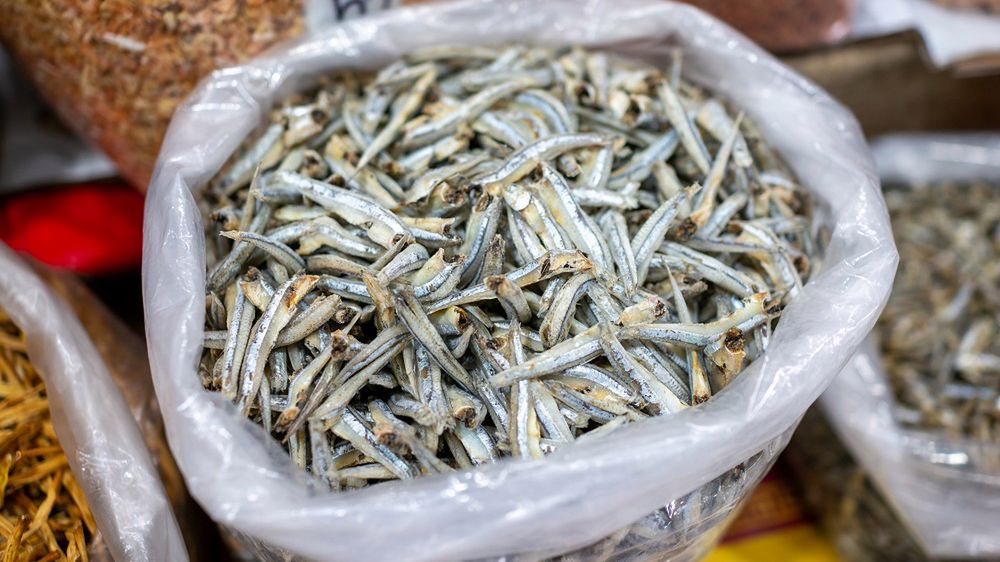 Po te ryby należy sięgać najczęściej. Bogate w witaminy i ubogie w rtęć