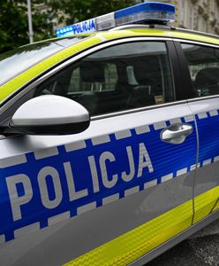 Siedmiolatka zgubiła się w Bielsku Podlaskim. Próbowała dogonić swoje psy