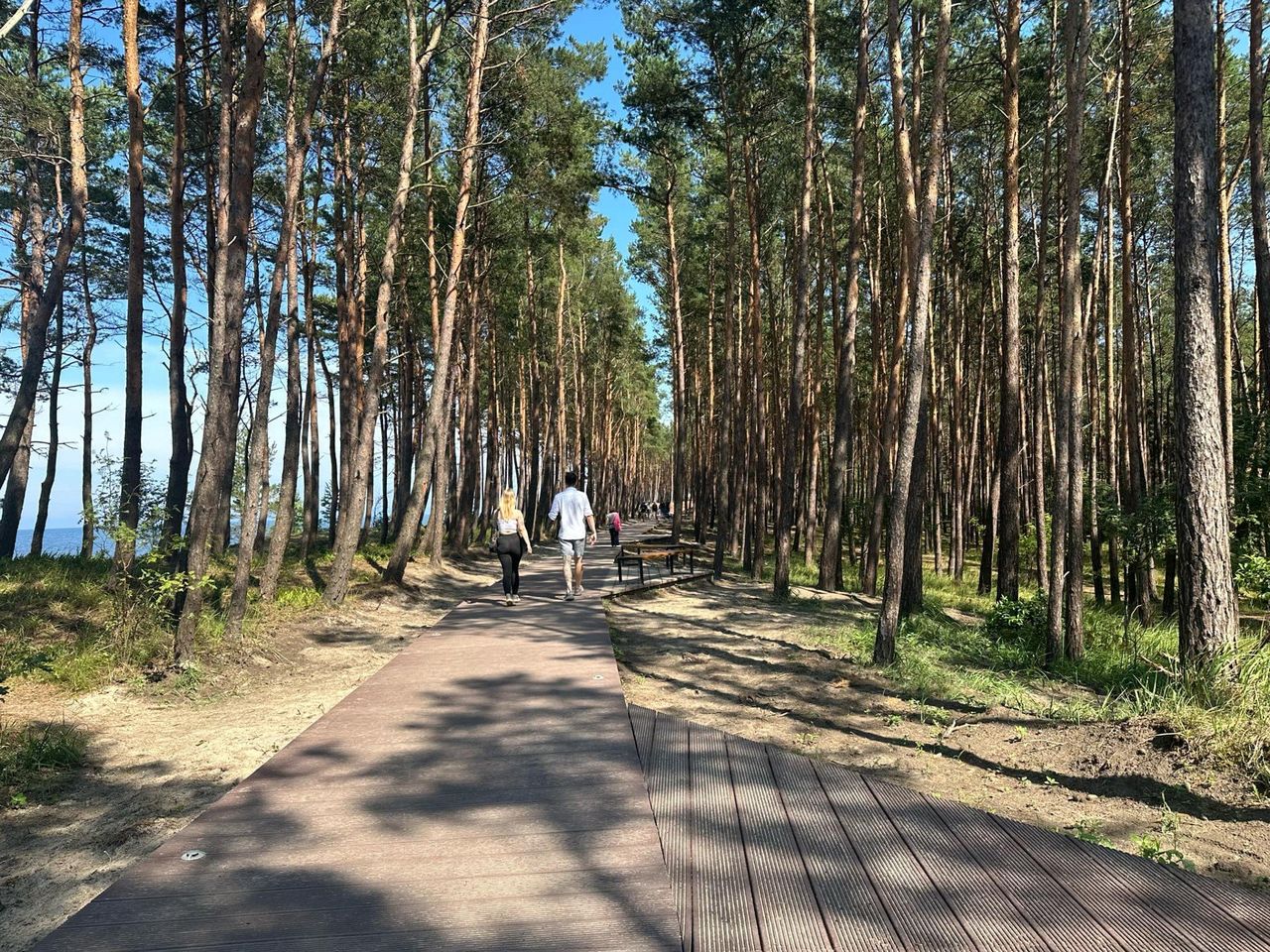 Rowerem z Mikoszewa do Kątów Rybackich. Lasem i w pobliżu pięknych plaż