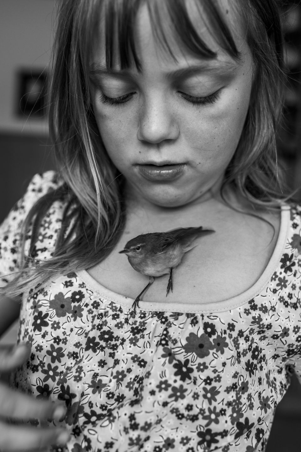 World Press Photo 2018 – znamy nazwiska nominowanych fotografów 60