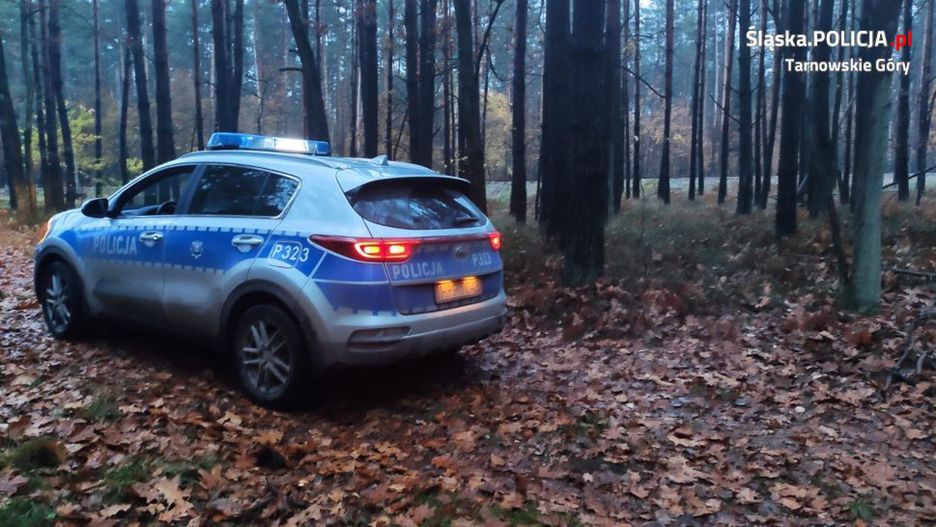 Policja poszukiwała 86-letniego grzybiarza na Śląsku.