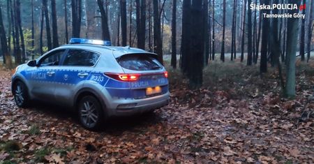 Śląsk. 86-letni grzybiarz zagubił się w lesie. Szczęśliwy finał poszukiwań