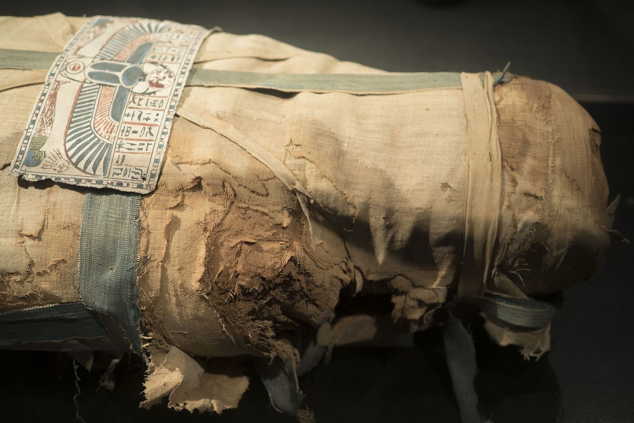 Archeolodzy zbadali dwie zaginione wśród zbiorów mumie. Nie należały do ludzi
