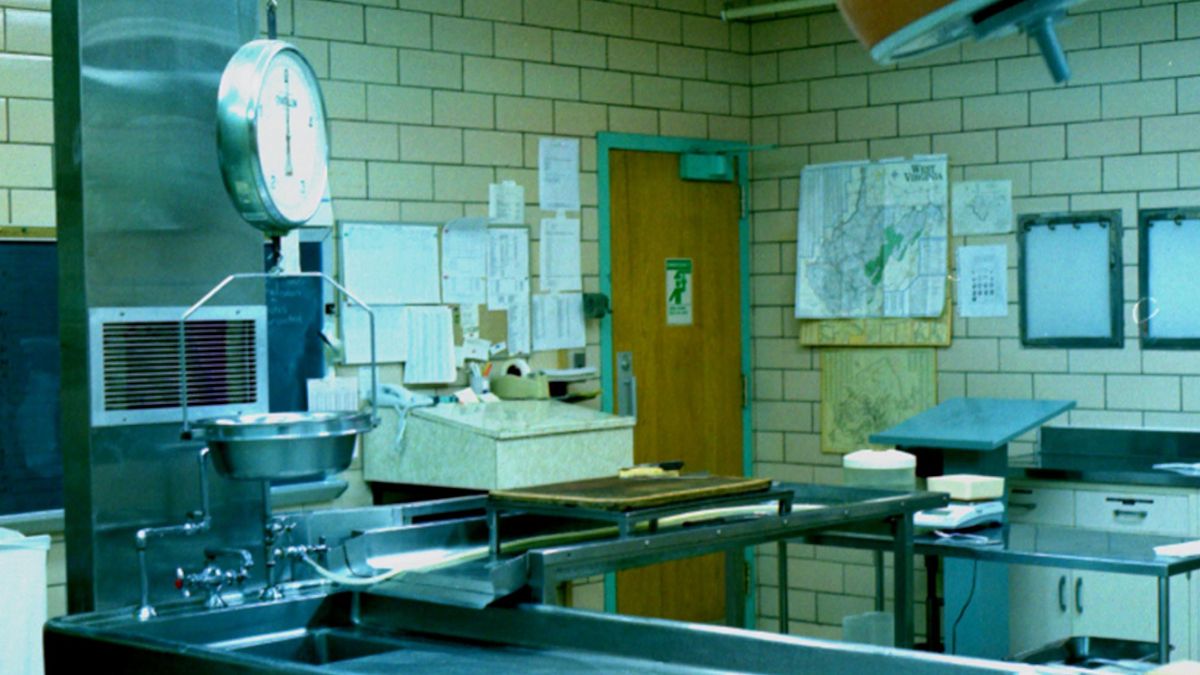 Zdjęcie ma charakter ilustracyjny.