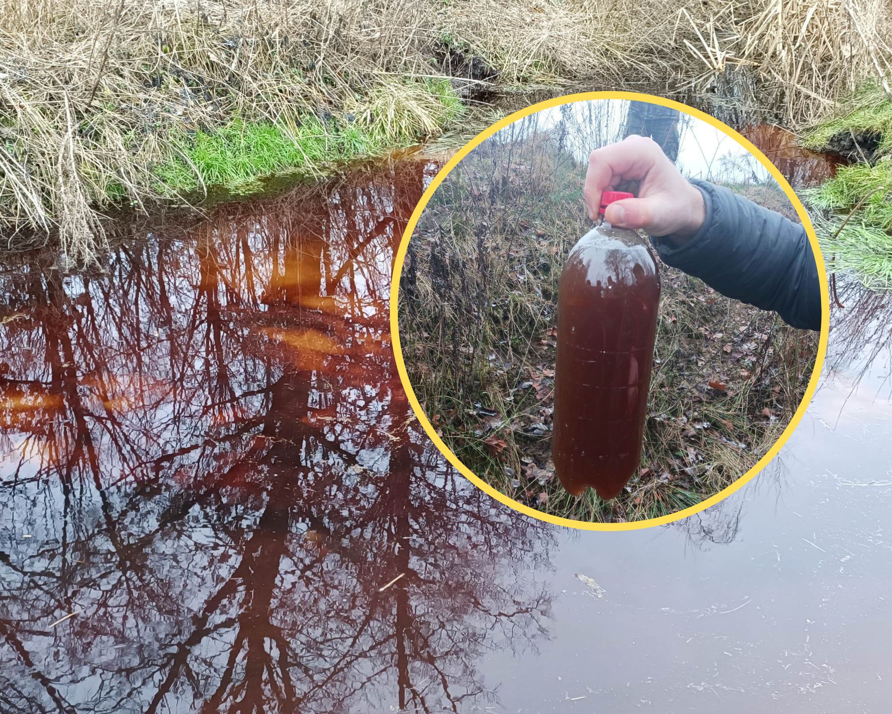 Z pięknej rzeki powstało bagno. Katastrofa ekologiczna pod Olsztynem