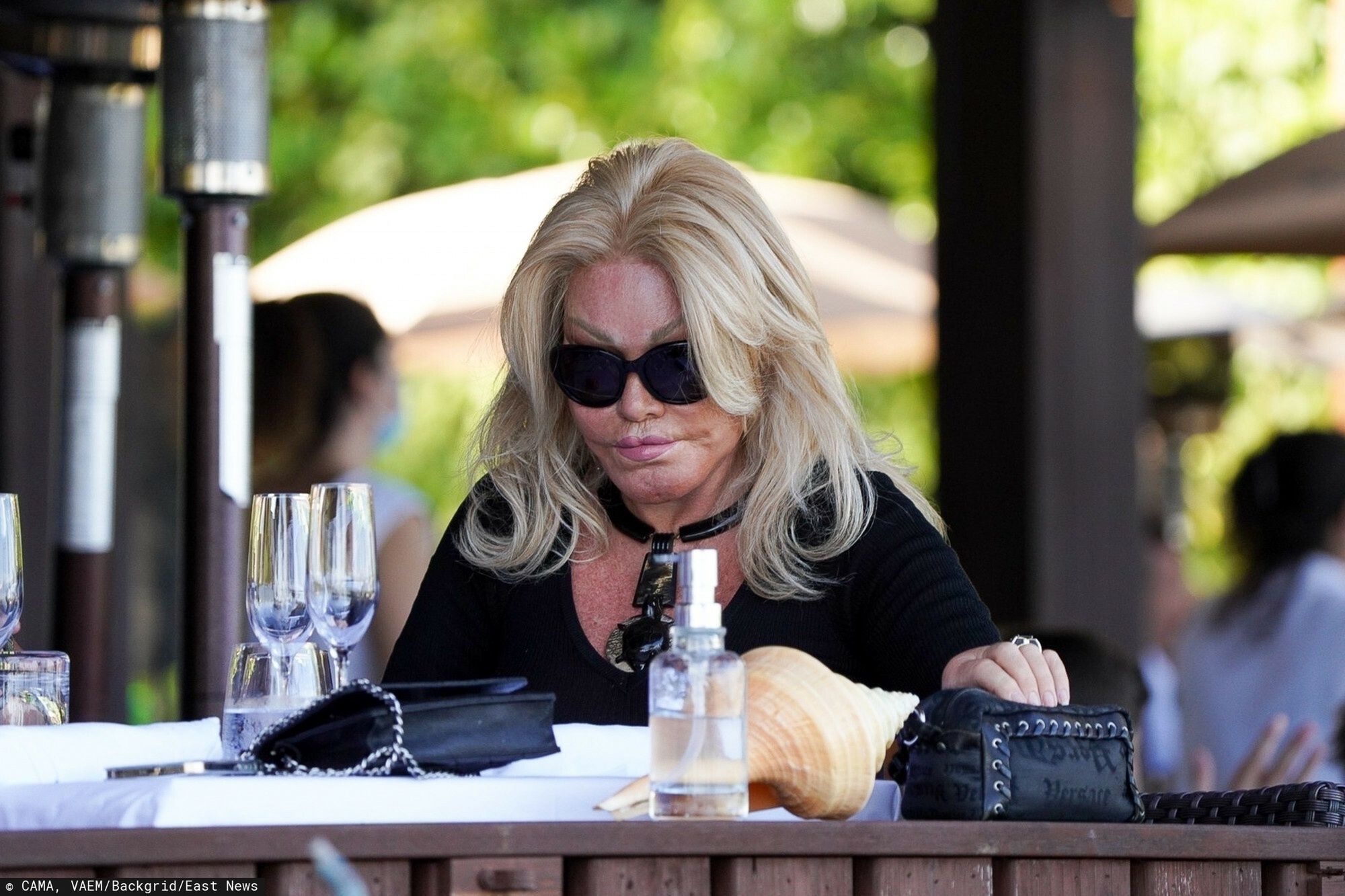 Jocelyn Wildenstein