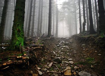 Beskidy: Trudne warunki na szlakach turystycznych. Warunki pogodowe są zmienne