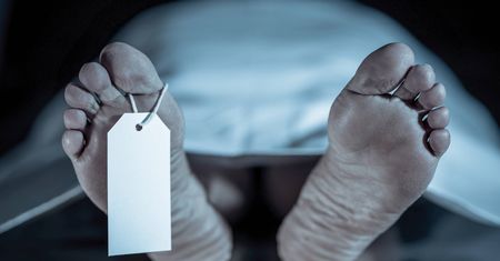 Pojawiły się po śmierci. Naukowcy przyglądali się 36 ludzkim zwłokom