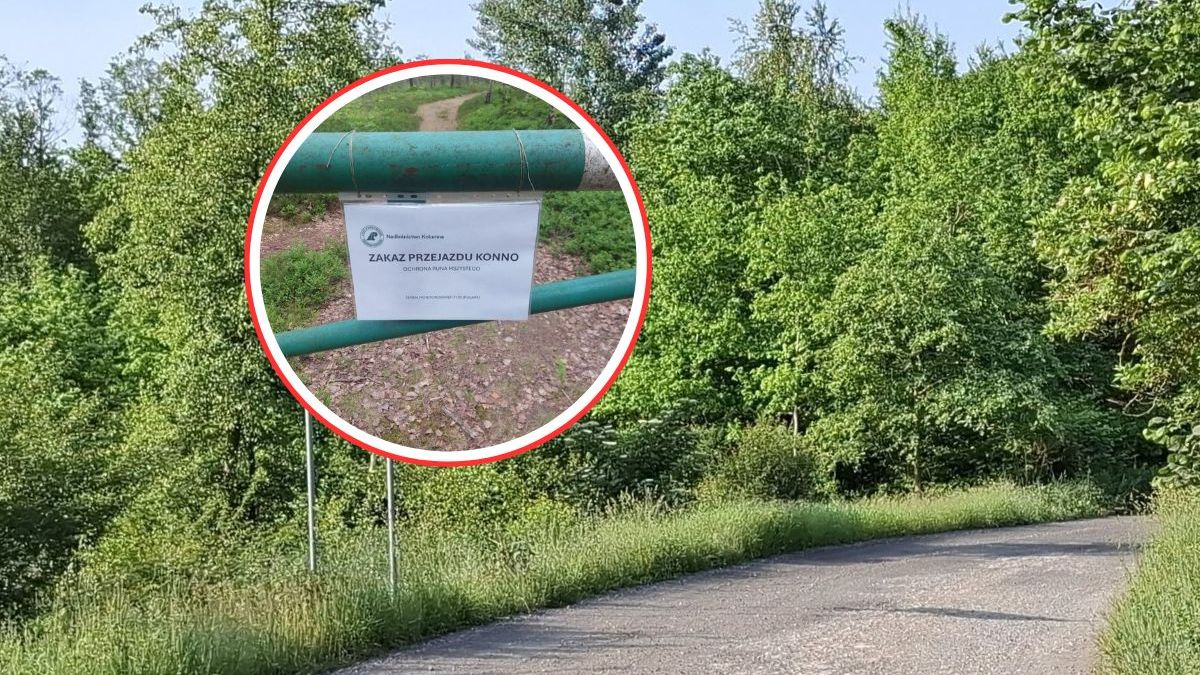 Kartka wywołała burzę w sieci. Nadleśnictwo wydało oświadczenie