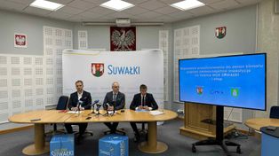 Suwałki będą bardziej zielone. Miasto planuje powiększyć tereny zielone o 9 hektarów